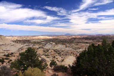 2009 USA 15_15