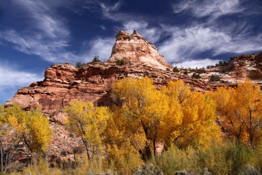 2009 USA 15_12