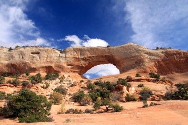 2009 USA 13_57