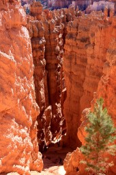 Bryce Canyon, UT 05
