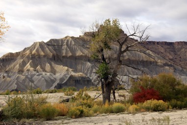 2009 USA 014_08