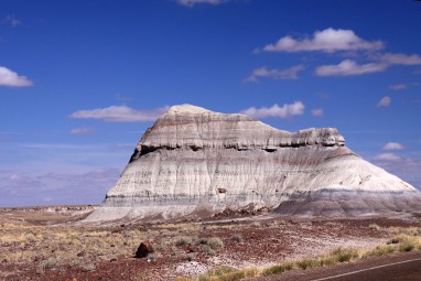 Petrified Forest, AZ 01