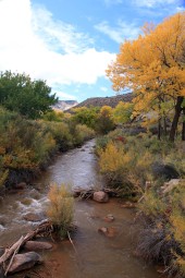 2009 USA 014_29
