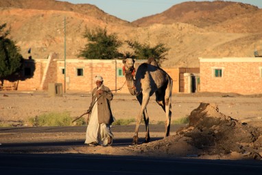 2010-01 Egypt Safaga-Qena 02