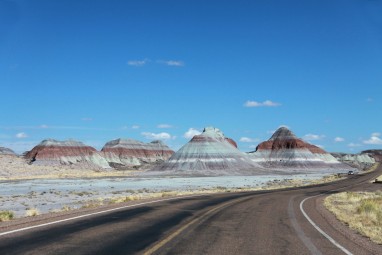 Petrified Forest, AZ 03