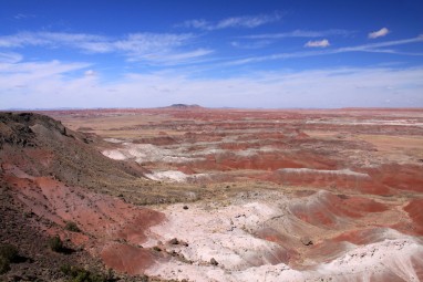 Petrified Forest, AZ 05