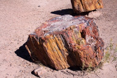 Petrified Forest, AZ 02