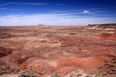 Petrified Forest, AZ 04